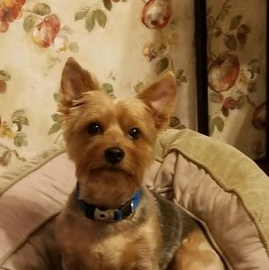 Meet your Posher, Linda